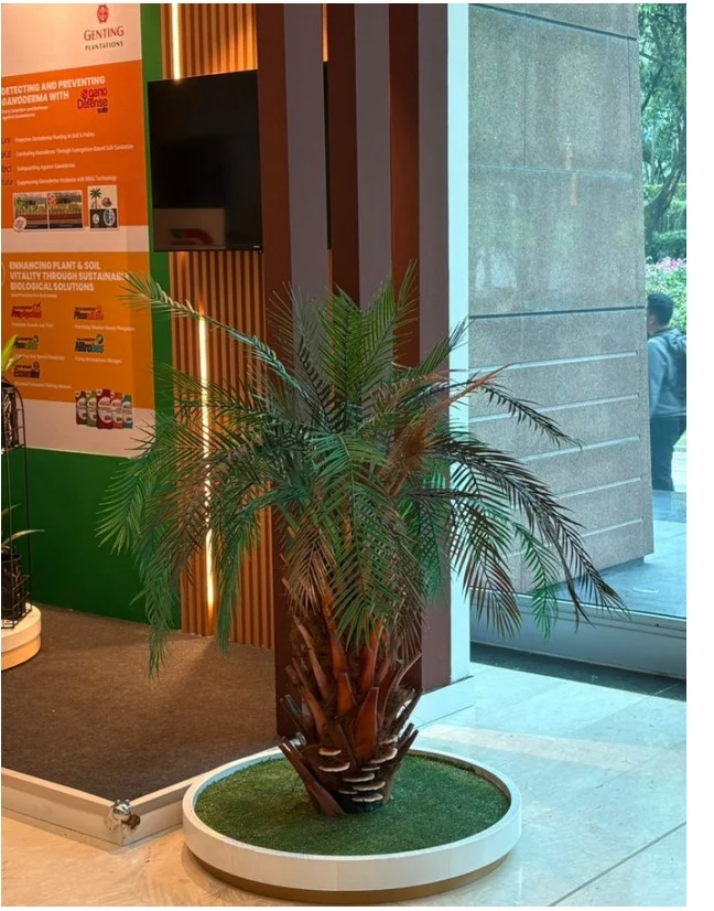 ACGT Sdn. Bhd.: Installed palm tree